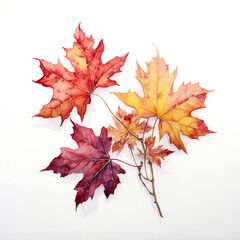 Fall Foliage Delight: Vibrant Watercolor Leaves on White - Generative AI