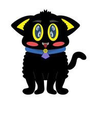 black cat, black cat with necklace, halloween cat, black cat with beautiful eyes