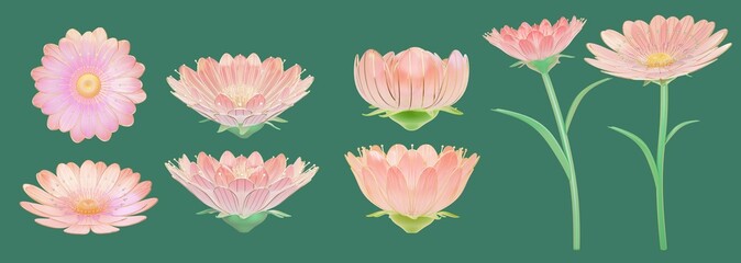 Angles of pink glass daisies