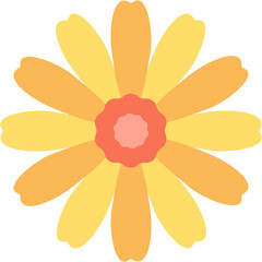 flower on white background