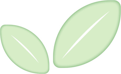 Twin leaf