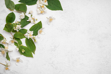 Composition with beautiful jasmine flowers and leaves on light background