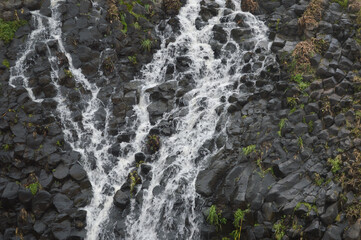 La naturaleza haciendo lo suyo 