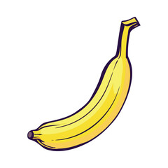 Fresh organic banana, a healthy snack