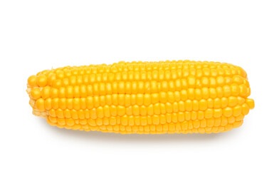 Fresh corn cob on white background