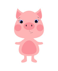 Funny pig on an isolated white background