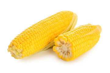 Fresh corn cobs on white background