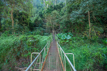 Old metal bridge in a green forest