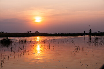 Okavango Delta, Botswana - August 3, 2022. A group of tourist observing wildlife in the Okavango Delta, while stiting in Mokoros and being guided by local guides.