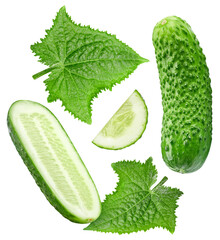Cucumber isolated on white background