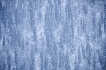 Foto op Aluminium Winter taiga forest under heavy snow on the bank of Teletskoe lake. Iogach, Altai © Serg Zastavkin