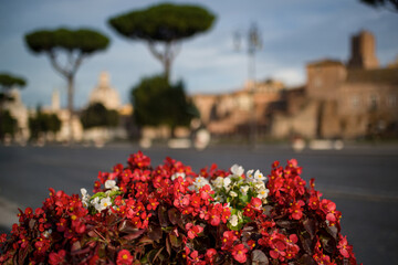 Via dei fori imperiali à Rome