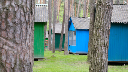 Fototapeta na wymiar Colorful picnic houses in pine list among the trees