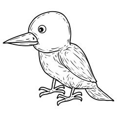 nestling sketch vector illustration