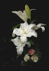 白百合の花
