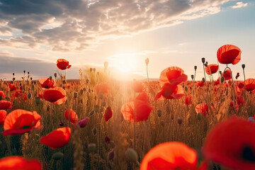 Poppy field in full bloom against sunlight. Field of red poppys against the sunset sky.AI Generative