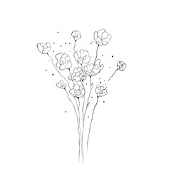 Black and white digital art floral template. Isolated Hand drawn black contours of abstract rose flowers on white background. Ornate template for design, coloring page, invitation. - 618397670