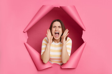 Angry aggressive woman wearing striped shirt breaking through pink paper hole screaming loud with...
