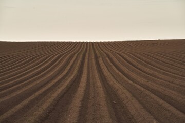 Land on the field for planting. Beautiful plowed field and cloudy sky scene