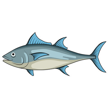 The blue fish illustration is used for sea decoration or food illustration.
