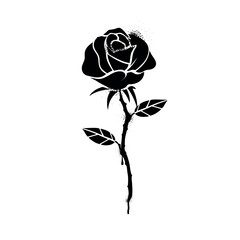 Urban style graffiti rose flower  sprayed with leak and splashes. Vector hand drawn textured illustration on white background for banner, decoration, tatoo, street art, halloween eps 10