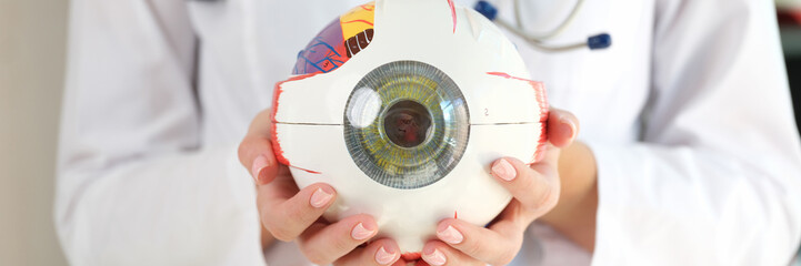 Ophthalmologist doctor holding part of eye model