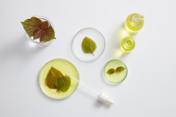 Several glass petri dishes, a beaker and two jars filled with essential oil are placed on white background. Beefsteak Plant (Perilla frutescens) has antibacterial and anti-inflammatory effects