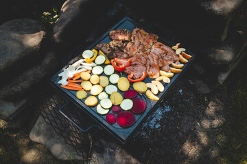 Turkey and chicken breast fillets and vegetables grilling on a granite stone over a hot fire. Preparing meat for dinner. Grilling with friends