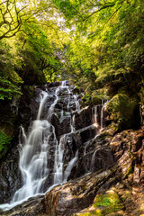 福岡　白糸の滝