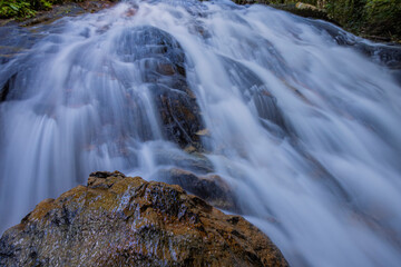 The waterfall in the forest
