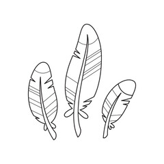 Bird feathers icon. Flat illustration of a three colorful feathers isolated on a white background. Vector 10 EPS.