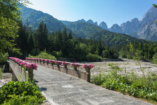 bridge with flowers in valbruna