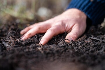soil fungi storing carbon through carbon sequestration on a farm, receiving carbon credits 