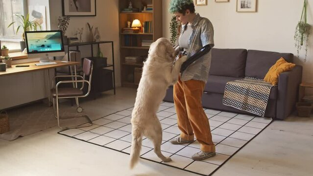 Full length shot of Caucasian teenage girl with arm prosthesis wearing relaxed casualwear dancing with her lovely white labrador dog standing on its back legs on floor in cozy living room