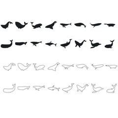 Whale icon vector set. Sperm whale illustration sign collection. Fish symbol. Ocean logo.