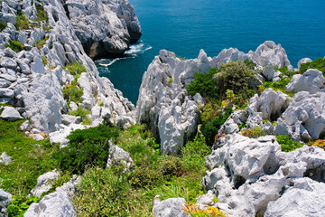 和歌山県 日高郡 白崎海洋公園