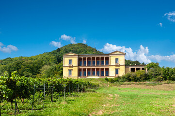 Blick zur historischen Villa Ludwigshöhe in Edenkoben. Region Pfalz im Bundesland Rheinland-Pfalz...