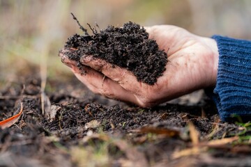 regenerative organic farmer, taking soil samples and looking at plant growth in a farm. practicing sustainable agriculture.
