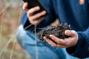 regenerative organic farmer, taking soil samples and looking at plant growth in a farm. practicing sustainable agriculture.