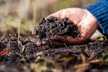 soil fungi storing carbon through carbon sequestration on a farm, receiving carbon credits 