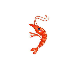 illustration of a shrimp
