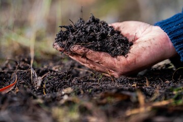 soil fungi storing carbon through carbon sequestration on a farm, receiving carbon credits 