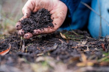 soil fungi storing carbon through carbon sequestration on a farm, receiving carbon credits 