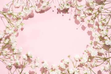 Fototapeta na wymiar Baby's breath gypsophila round frame border on pink background with shadow. Top view close flatlay