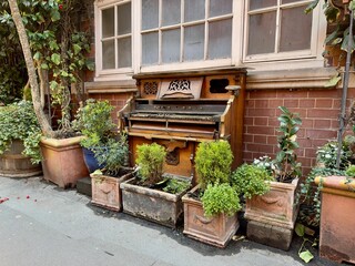 Fototapeta na wymiar Old decorative piano surrounded by green potted plants. London, United Kingdom.