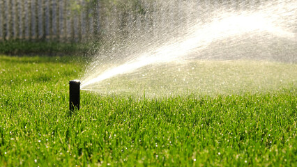Automatic garden irrigation system watering lawn with adjustable head. Automatic equipment for...