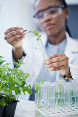 Woman, plant and scientist in laboratory with test tubes, experiment or research on leaves, growth...