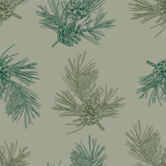 .Hand drawn pine branches with cones seamless pattern. Vector vintage design.