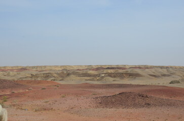 landscape in the desert