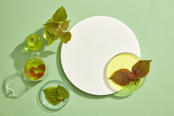 Some laboratory glassware of yellow fluid and beefsteak leaves arranged around a pedestal in...